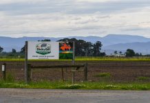 Council spruik jobs expo for employees affected by Dicky Bill closure