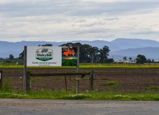 Wellington Shire Council spruik jobs expo for workers affected by Dicky Bill closure