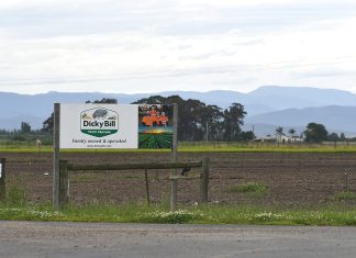 Administrators reveal Dicky Bill Australia owes in excess of $7m