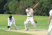 Goannas defeat Dragons