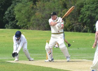 Goannas defeat Dragons