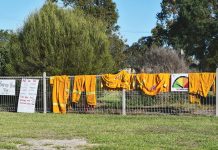 ESVF funding distribution outlined by state government