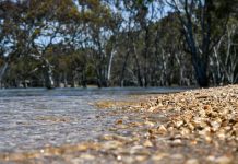 Glenmaggie levels promising for irrigation season