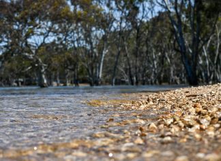 Glenmaggie levels promising for irrigation season