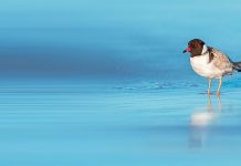 WGCMA reflects on projects