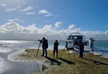 Major steps for Star of the South’s wind project