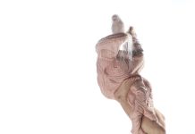 Summer launch at Gippsland Art Gallery this Friday