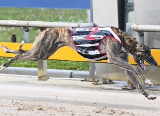 Ascend Geranium earns shot at group one glory