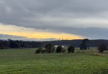 Patterson documentary concludes on Stan