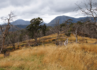 Maffra West Upper family donates 105-hectare property