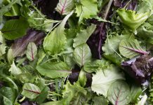 Bulmers underpaid workers