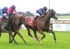 Sale races cut short to end year