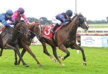 Sale races cut short to end year