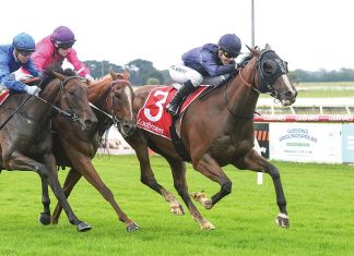 Sale races cut short to end year