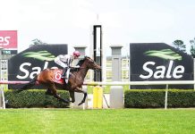 Record breaker at Greenwattle