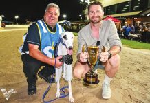 Stunning Sale Cup winner