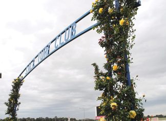 Kids raceday tomorrow