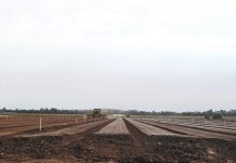 Hussey and Co taking savvy approach in Maffra