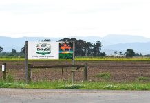New tenant secured for Maffra salad farm