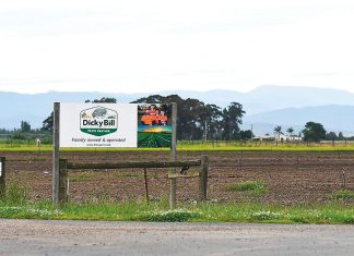 New tenant secured for Maffra salad farm