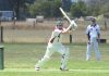 Goannas over 60s mean business