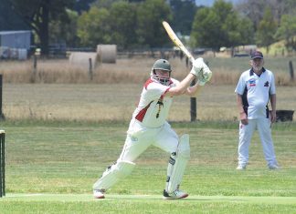Goannas over 60s mean business