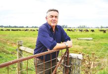 Chester backs gun owners, as Royal Commission is announced