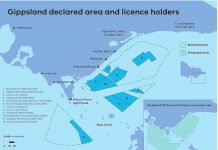 Paddles up for offshore wind auction