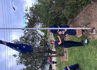 Australia Day around Wellington