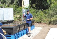 Dig into VEGuary 2026