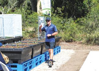 Dig into VEGuary 2026