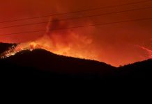 Responding to Dargo complex of bushfires