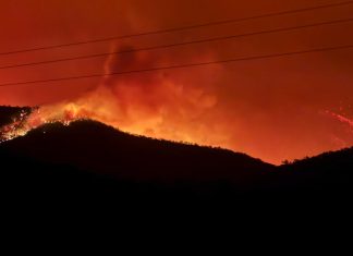 Responding to Dargo complex of bushfires