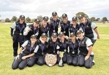 Another year and another flag