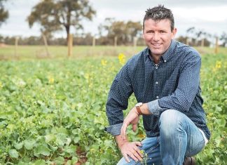 CFA annual report released, finances under scrutiny