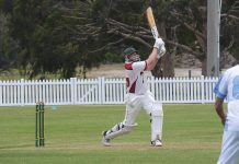 Goannas fall to Mornington