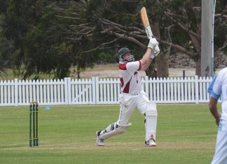 Goannas fall to Mornington