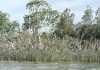 Reel fun as trout hit lakes