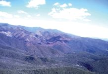 International crews tend to Wonnangatta – Dargo bushfire