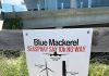 Offshore wind venture Blue Mackerel meets with communities