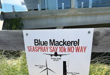 Offshore wind venture Blue Mackerel meets with communities