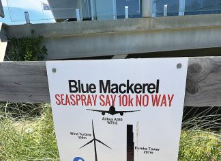 SPILL – Blue Mackeral
