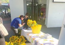 Bringing brightness to town