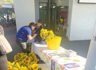 Bringing brightness to town