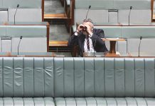 Coalition heart goes on