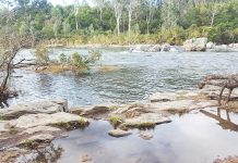 Gippsland Critical Minerals mine water needs being assessed