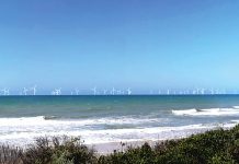 Star of the South welcomes auction announcement