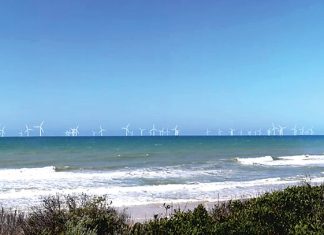 Star of the South welcomes auction announcement