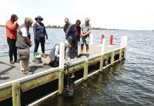 Cause for shell-ebration: UN-recognised shellfish reefs thriving in Gippsland Lakes