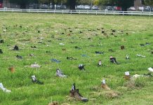 Taking steps for men’s mental health